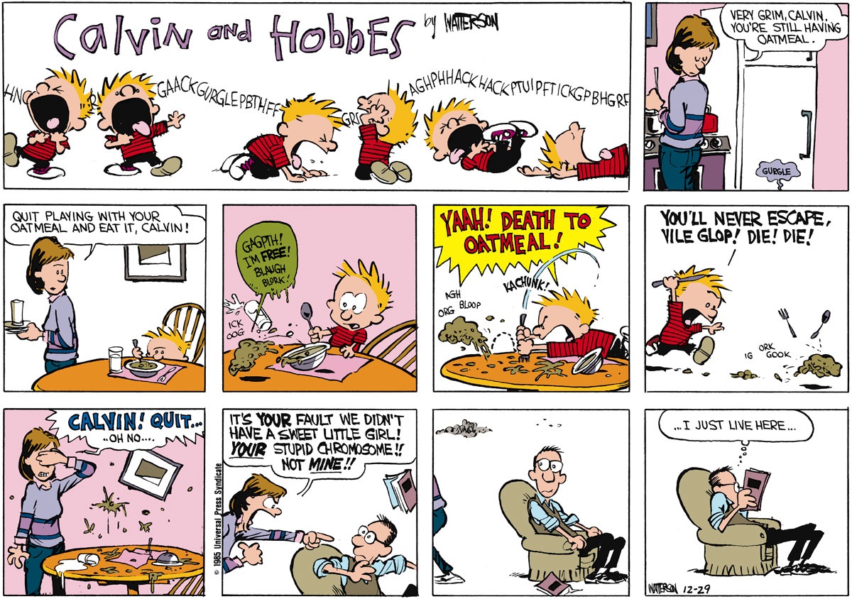 Calvin and Hobbes - December 29, 1985