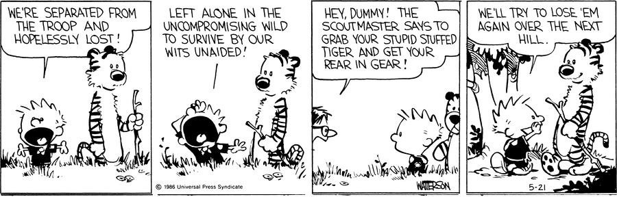 Calvin and Hobbes - May 21, 1986