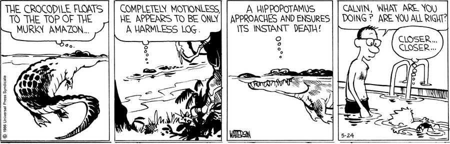 Calvin and Hobbes - May 24, 1986