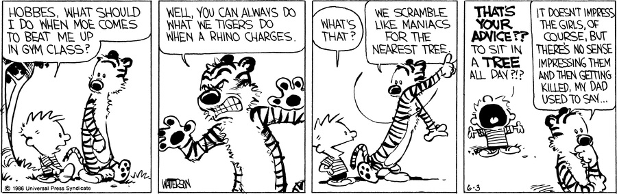 Calvin and Hobbes - June 3, 1986