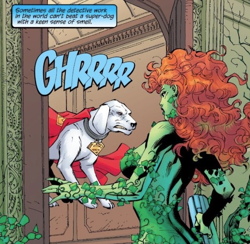 Batman (Vol. 2), Issue #612